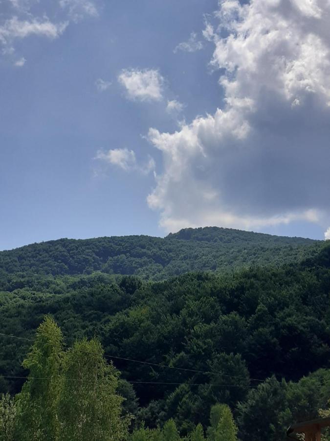 Соколів Камінь Novoselitsa  외부 사진