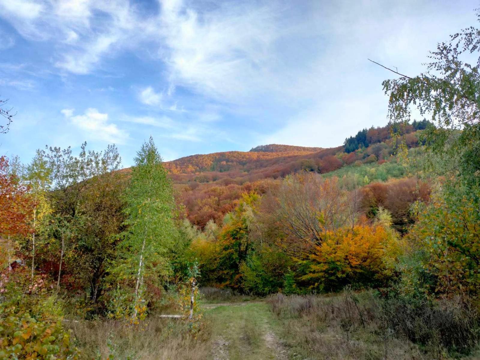 Соколів Камінь Novoselitsa  외부 사진
