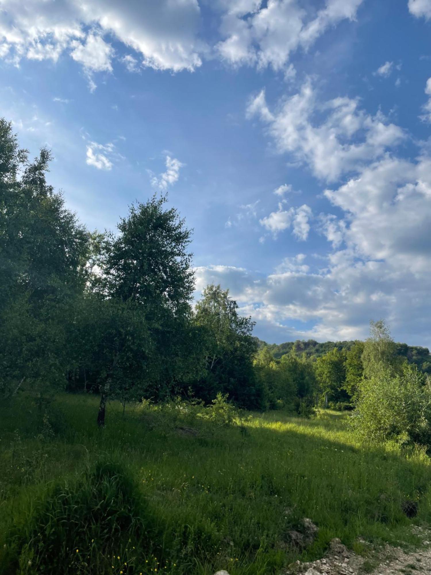 Соколів Камінь Novoselitsa  외부 사진